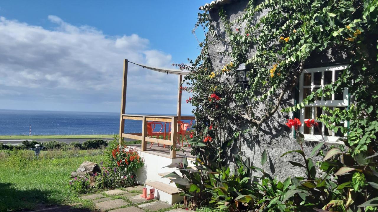 Quinta Das Buganvilias Castelo Branco  Exteriér fotografie