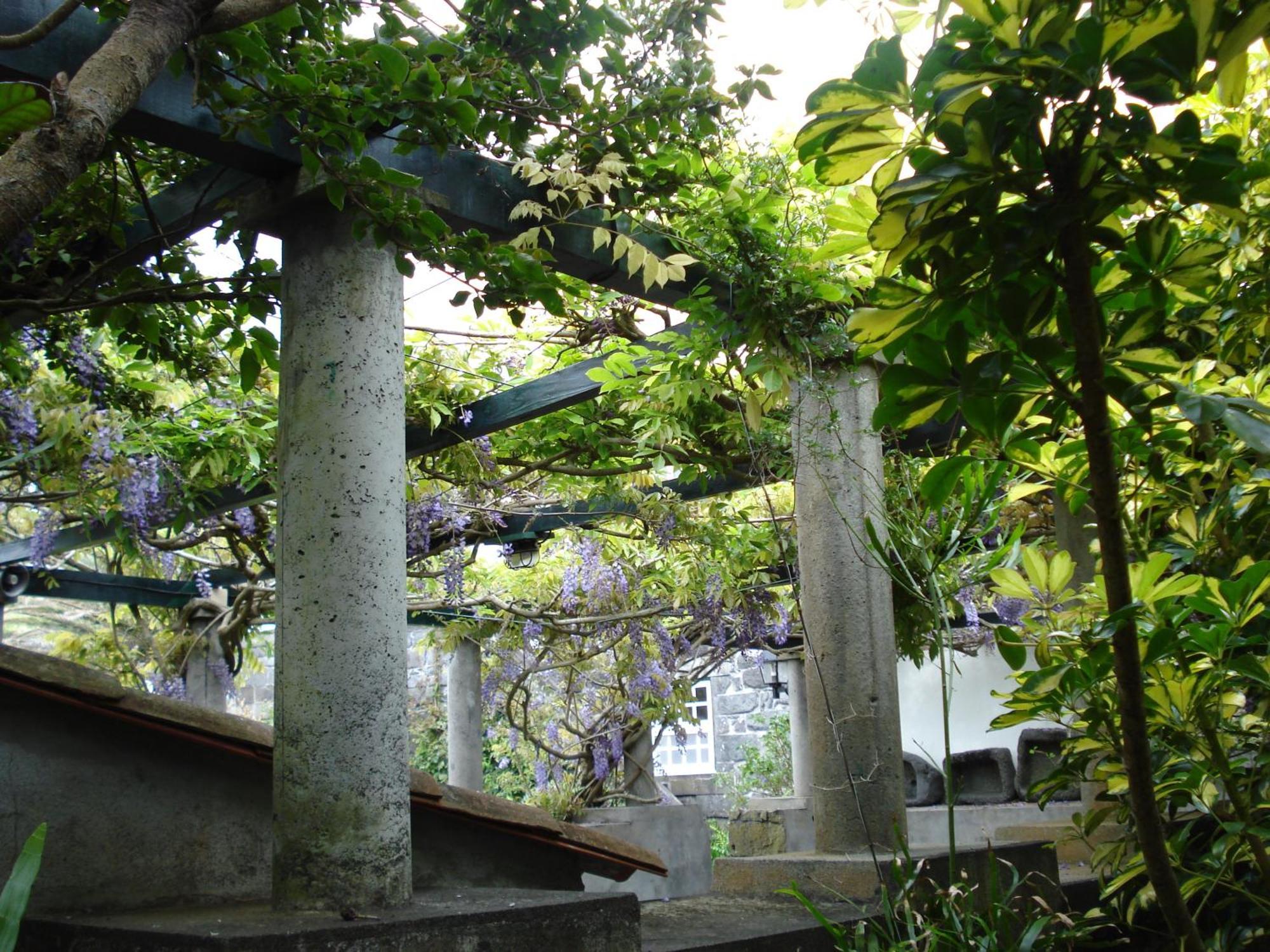 Quinta Das Buganvilias Castelo Branco  Exteriér fotografie